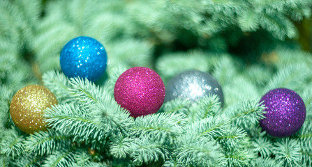 Colored Christmas decorations on branches of spruce from the botanical garden. Natural lighting effects. Shallow depth of field. Selective focus, handmade art of nature. Christmas Eve Landscape fir