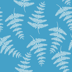 Vector botanical illustration of fern leaf. Isolated outline modern drawing of tropical plant. Set of exotic fern leaves silhouettes. 