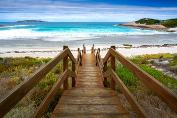 Wooded step in Salmon beach