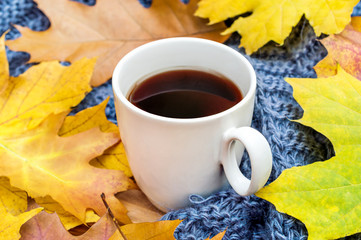 Cup of coffee with autumn leaves and knitted scarf on wooden background.