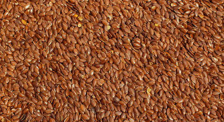 flax seed close up / healthy food