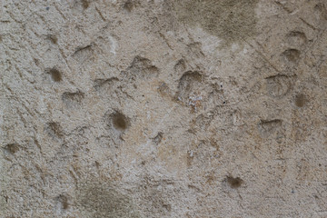 holes in the concrete wall