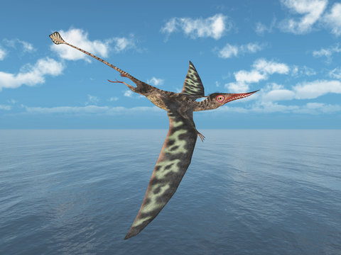 Flugsaurier Rhamphorhynchus über dem Meer