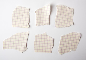 empty torn pieces of paper from notebook to cell