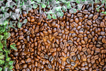 Top view roasted coffee beans background and texture with green leafs on corner.