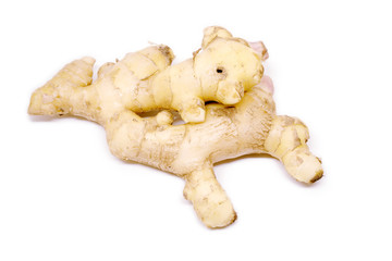 Raw ginger root isolate on white background. Ginger root originated as ground flora of tropical lowland forests in regions from the Indian. Widely used as a spice or a folk medicine.