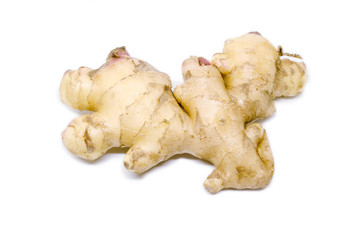 Raw ginger root isolate on white background. Ginger root originated as ground flora of tropical lowland forests in regions from the Indian. Widely used as a spice or a folk medicine.