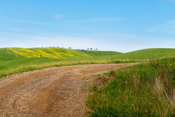 Winding road in Tuscana, Italy
