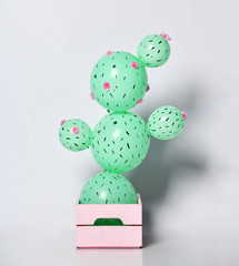 Cactus balloon in pastel pink flower pot made of green round balloons with flowers. Creative idea 