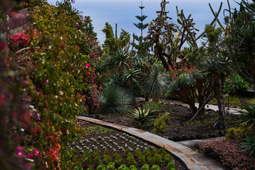 green and red flowers in  botanical garden