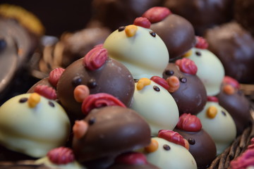 Fototapeta na wymiar Les poules en chocolat 