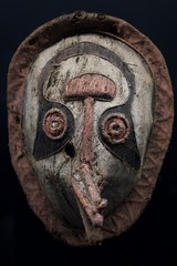 La masque amazonien 