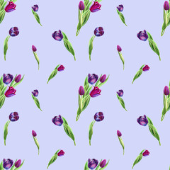 Seamless pattern from beautiful black tulips. Floral collection. Marker drawing. Watercolor painting. Floral composition of design elements. Greeting card. Painted background. Hand drawn illustration.