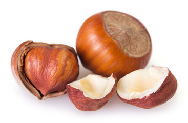 Hazelnut on white background
