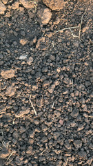 soil texture close up