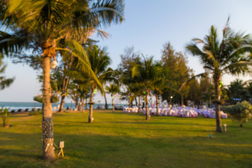 Fototapeta na wymiar Sea beach with palm tree in resort