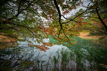 Red leaf and beautiful water in Goshiki-Numa pond, Fukushima, Japan