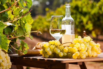 still life with glass of White wine grapes and bread on table in field