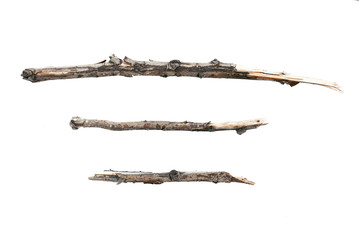 Dry tree branch isolated on white background.