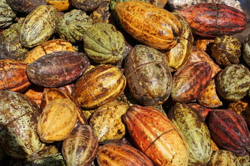 Kakaobohnen roh bunt Hintergrund 