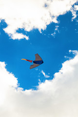 Naklejka na ściany i meble kite in the sky and cloud
