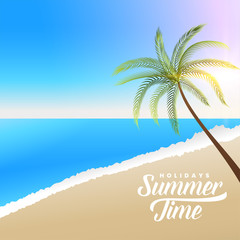 Fototapeta na wymiar beautiful summer beach scene with palm tree