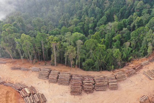 Logging. Aerial drone view of deforestation environmental problem in Malaysia 