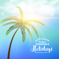 Obraz premium summer holidays sunny background with tropical tree