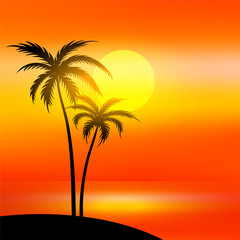 beach scene with sunset and palm tree