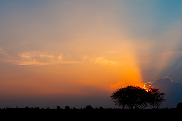 Bright orange sky and light of the sun. - Image