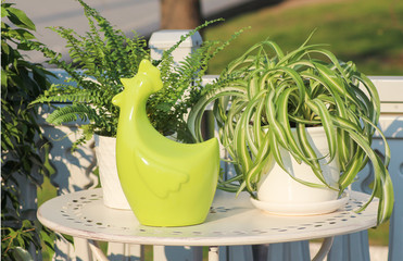 glass of fresh juice