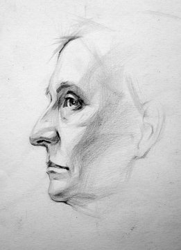 portrait, pencil drawing illustration, sketch