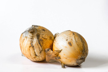 Ugly onions close up and isolated in white. 
