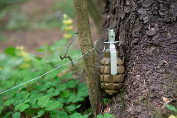 Trap made using hand grenade and wire