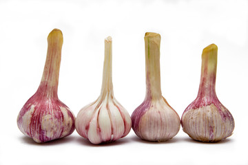 young garlic on white background