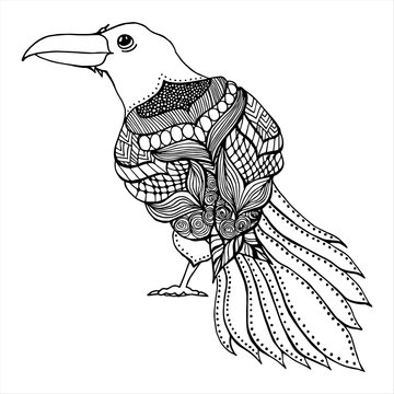 ornament decorative bird. isolated crow on white background. zentangle style. hand draw bird