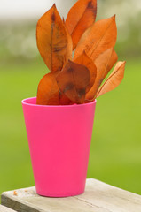 plastic cup and lief