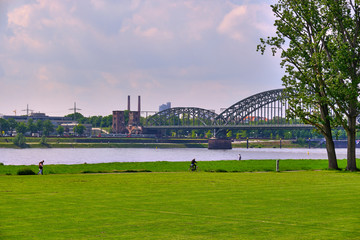 Poller Wiesen in Köln, Am Horizont die Südstadt und die Südbrücke, Rechts im Bild Baumkronen der Bäume, Blick auf satte grünne Wiesen in der ferne Spaziergänger.