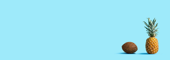 Pineapple and coconut shell on a solid background