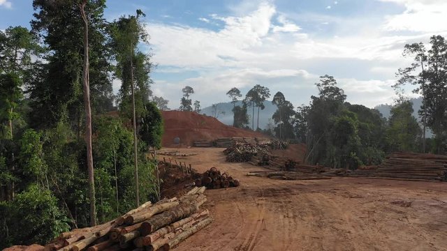 Logging. Aerial drone view of deforestation environmental problem. Rainforest destruction 