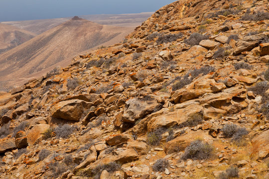 Vista desde la Degollada de los Granadillos. Parque Rural de Betancuria. Isla Fuerteventura. Provincia Las Palmas. Islas Canarias. Espa&ntilde;a