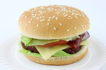 hamburger on white background