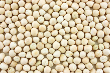 white beans background