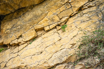 Background texture of a cracked rock with green plants in a natural park congost de Mont-rebei Monrebey in Spain. Dangerous gorge and cliff. 
