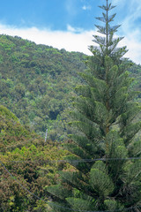 Las Montanas de Anaga. Tenerife