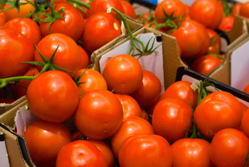 asphalt,background,city,direction,industry,iron,journey,landscape,line,metal,nature,outdoor,path,rail,railroad,rails,railway,road,sky,speed,station,steel,street,sunset,track,tracks,traffic,train,trans
