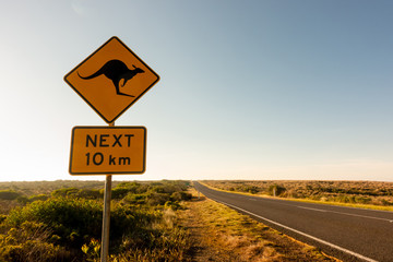  kangaroo crossing road sign