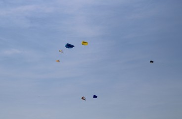 flying kite in the sky