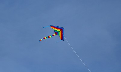 kite in the sky