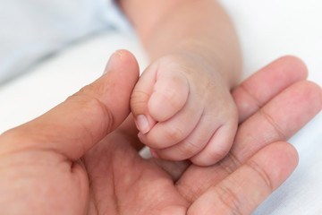 Tiny newborn baby hand on male hands closeup. Happy Family concept. Beautiful conceptual image of...